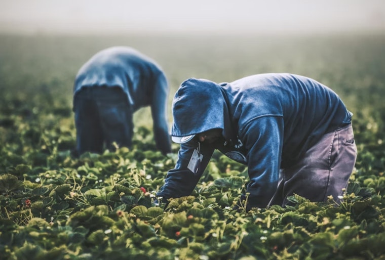 Pasadena Farmworkers Day: Schools Closed, City Services Open