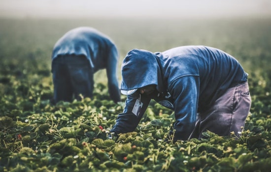 Pasadena Farmworkers Day: Schools Closed, City Services Open