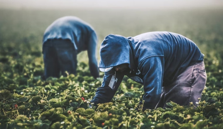 Pasadena Farmworkers Day: Schools Closed, City Services Open