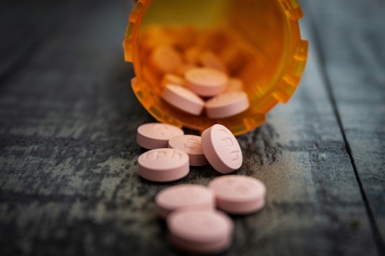 Pasco Puts Opioid Windfall To Work With High-Stakes USF Partnership