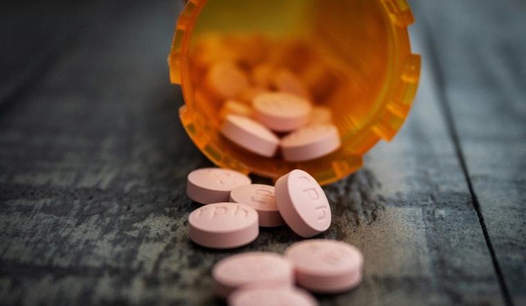 Pasco Puts Opioid Windfall To Work With High-Stakes USF Partnership
