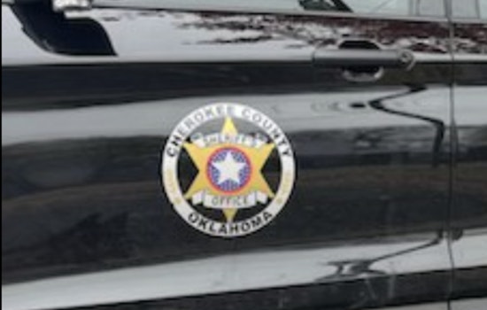 Peggs Pursuit Turns Ugly as Cherokee County Deputy Canned Over Alleged Beating
