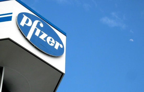 Pfizer Breast Cancer Combo Cuts Progression Risk by 40 Percent in Trial