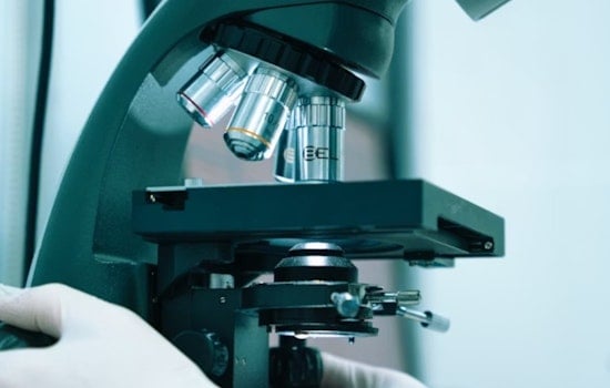 Philly Lab’s ‘Cyborg’ Pancreas Could Whip Diabetes Cells Into Shape