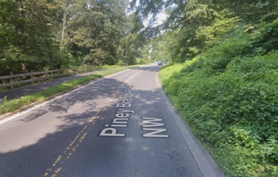 Piney Branch Parkway Chaos As Giant Tree Crushes Cars, Injures Driver