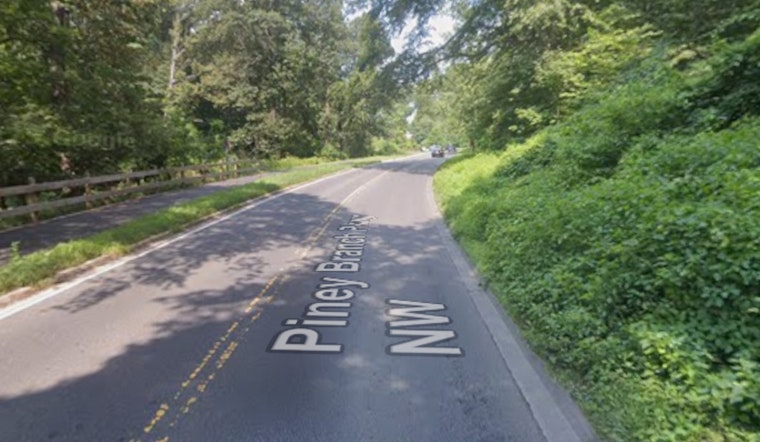 Piney Branch Parkway Chaos As Giant Tree Crushes Cars, Injures Driver