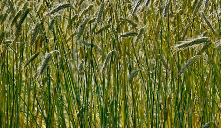 Pivot Bio Moves HQ To Minnetonka, $2B Agtech