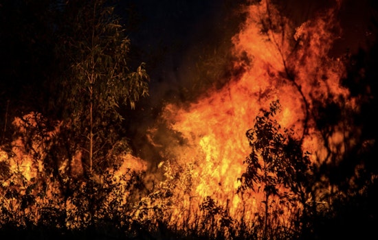 Point Fire Erupts on Private Land Outside Placerville, Officials Probe Cause