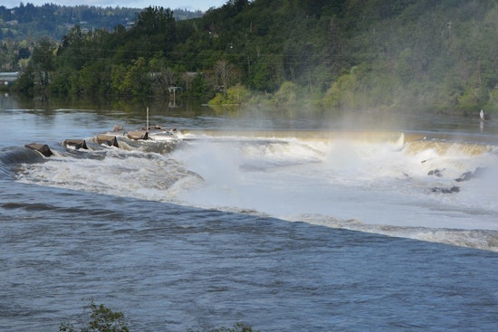 Inside The High-Stakes Push To Take Back Willamette Falls