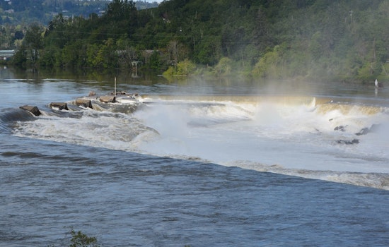 Inside The High-Stakes Push To Take Back Willamette Falls