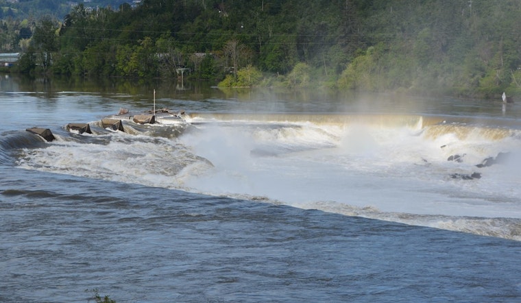 Inside The High-Stakes Push To Take Back Willamette Falls