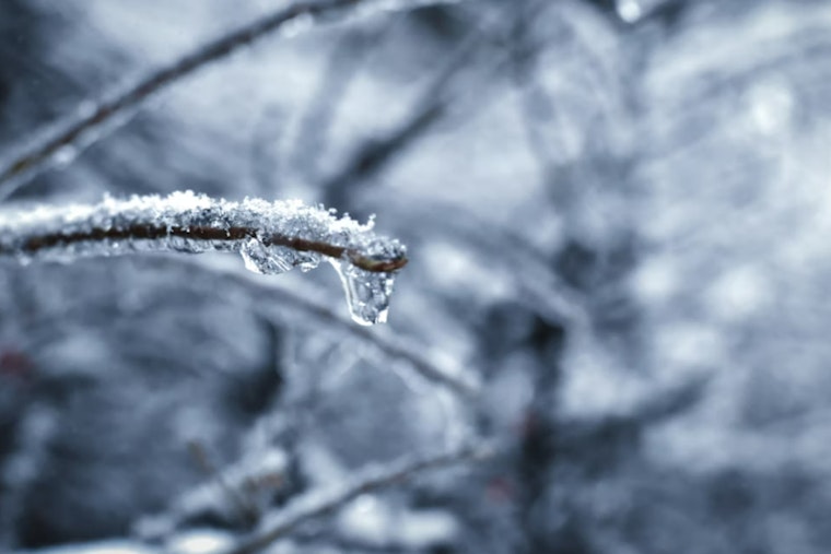 Portland Wakes Up Freezing, Then Warms Up for a Spring Tease This Weekend