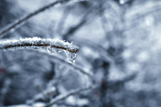 Portland Wakes Up Freezing, Then Warms Up for a Spring Tease This Weekend