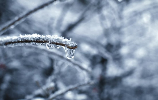 Portland Wakes Up Freezing, Then Warms Up for a Spring Tease This Weekend