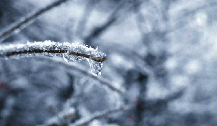 Portland Wakes Up Freezing, Then Warms Up for a Spring Tease This Weekend