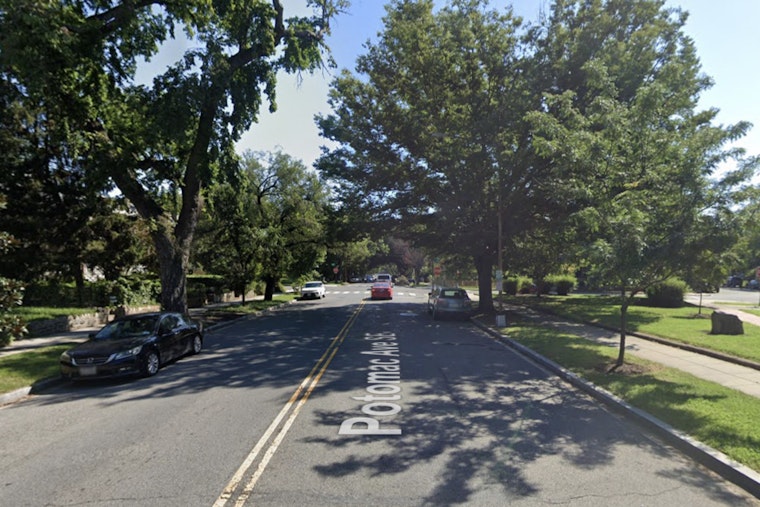 Potomac Avenue Nightmare: Massive Tree Slams House, Misses Roof By Inches