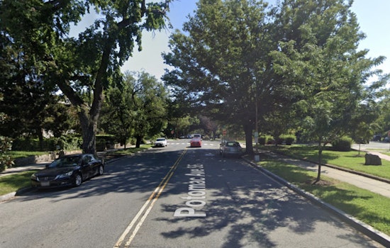 Potomac Avenue Nightmare: Massive Tree Slams House, Misses Roof By Inches