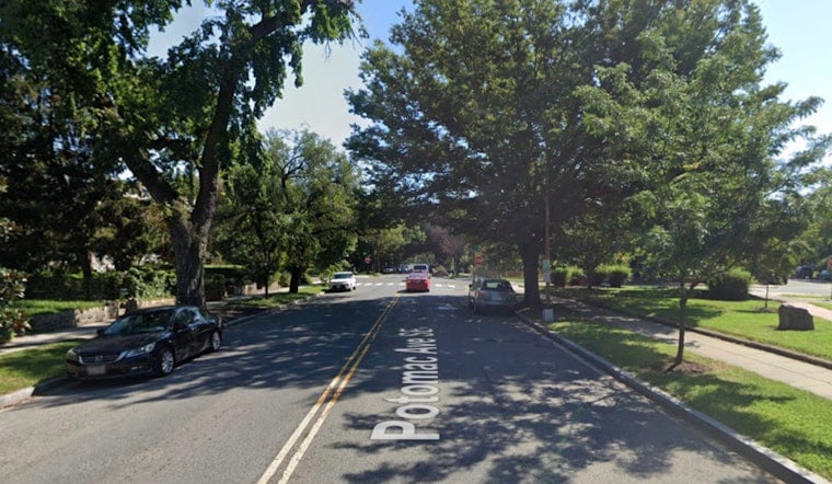 Potomac Avenue Nightmare: Massive Tree Slams House, Misses Roof By Inches