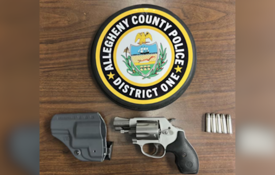 Pre-Dawn Gun Bust as Ohio Traveler Nabbed at Pittsburgh Airport Checkpoint