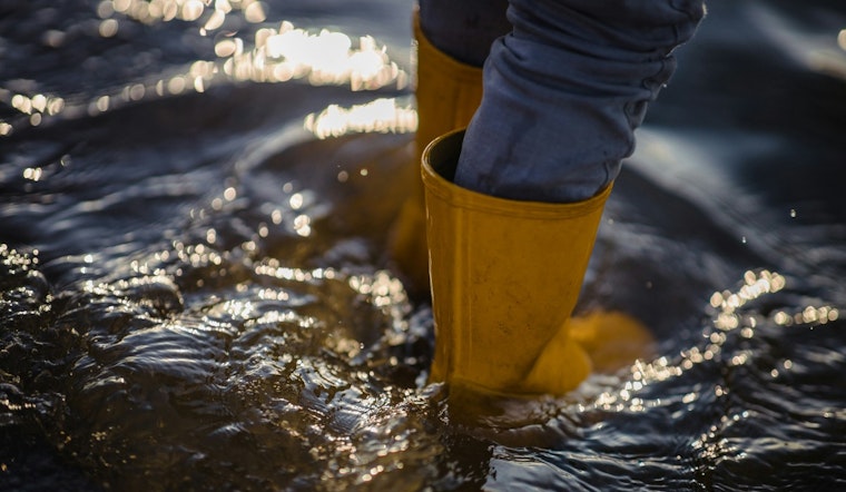 Predawn Deluge Puts Maui On Edge Under Flash Flood Warning