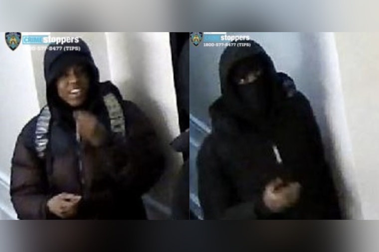 Purse-Snatching Pair Mugs 75-Year-Old Near 61st And 1st, Cops Say