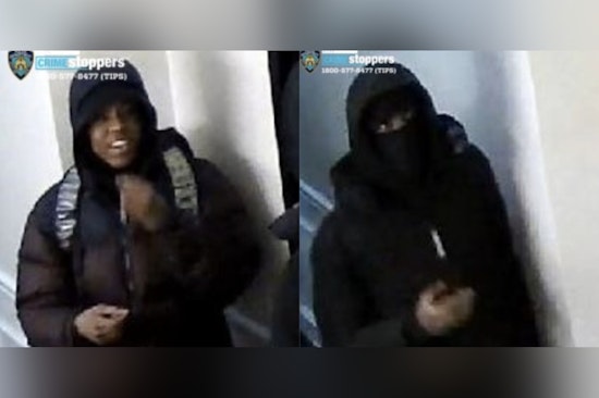 Purse-Snatching Pair Mugs 75-Year-Old Near 61st And 1st, Cops Say