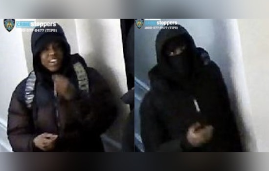 Purse-Snatching Pair Mugs 75-Year-Old Near 61st And 1st, Cops Say
