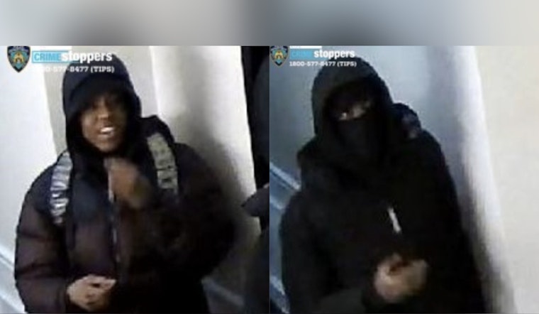 Purse-Snatching Pair Mugs 75-Year-Old Near 61st And 1st, Cops Say