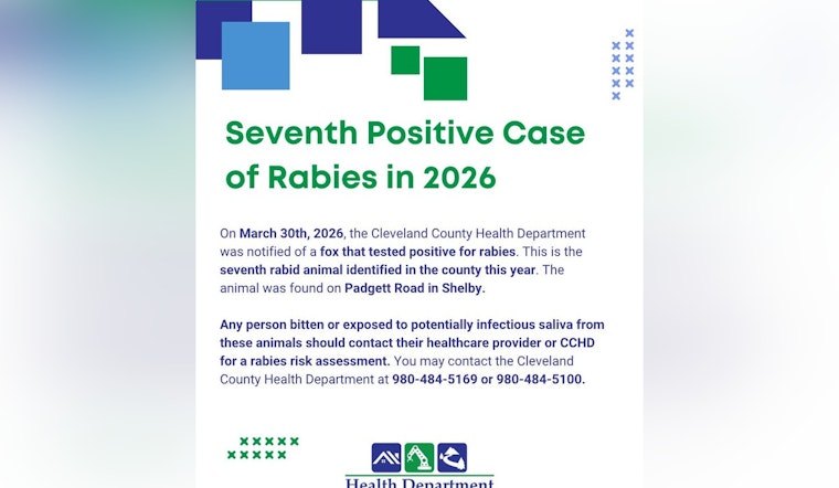 Rabid Fox On Shelby’s Padgett Road Marks County’s Seventh Scare This Year