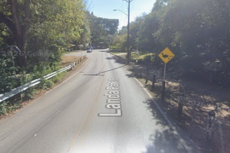 Rabid Raccoon Confirmed At Landa Park In New Braunfels