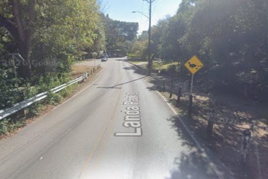 Rabid Raccoon Confirmed At Landa Park In New Braunfels