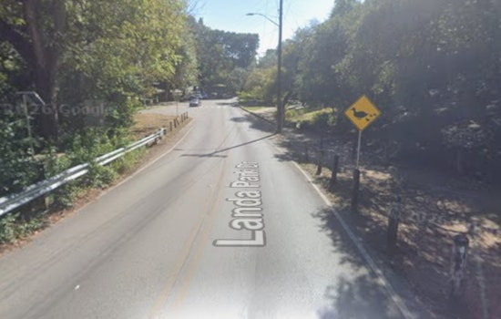 Rabid Raccoon Confirmed At Landa Park In New Braunfels