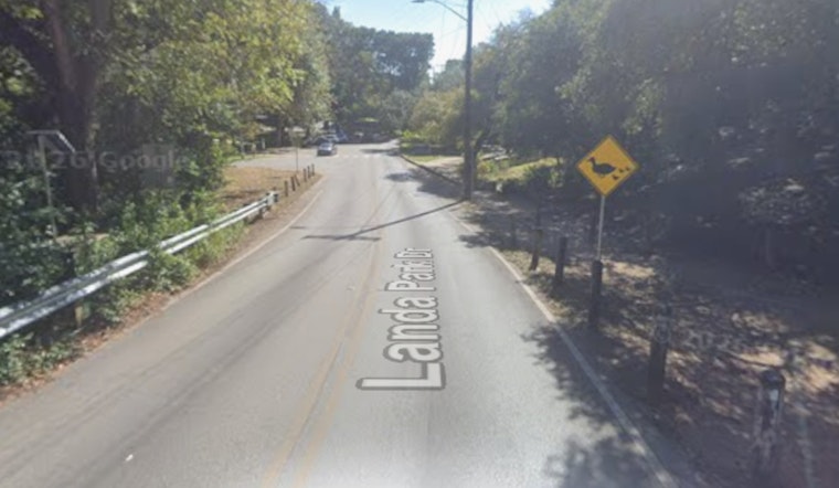 Rabid Raccoon Confirmed At Landa Park In New Braunfels