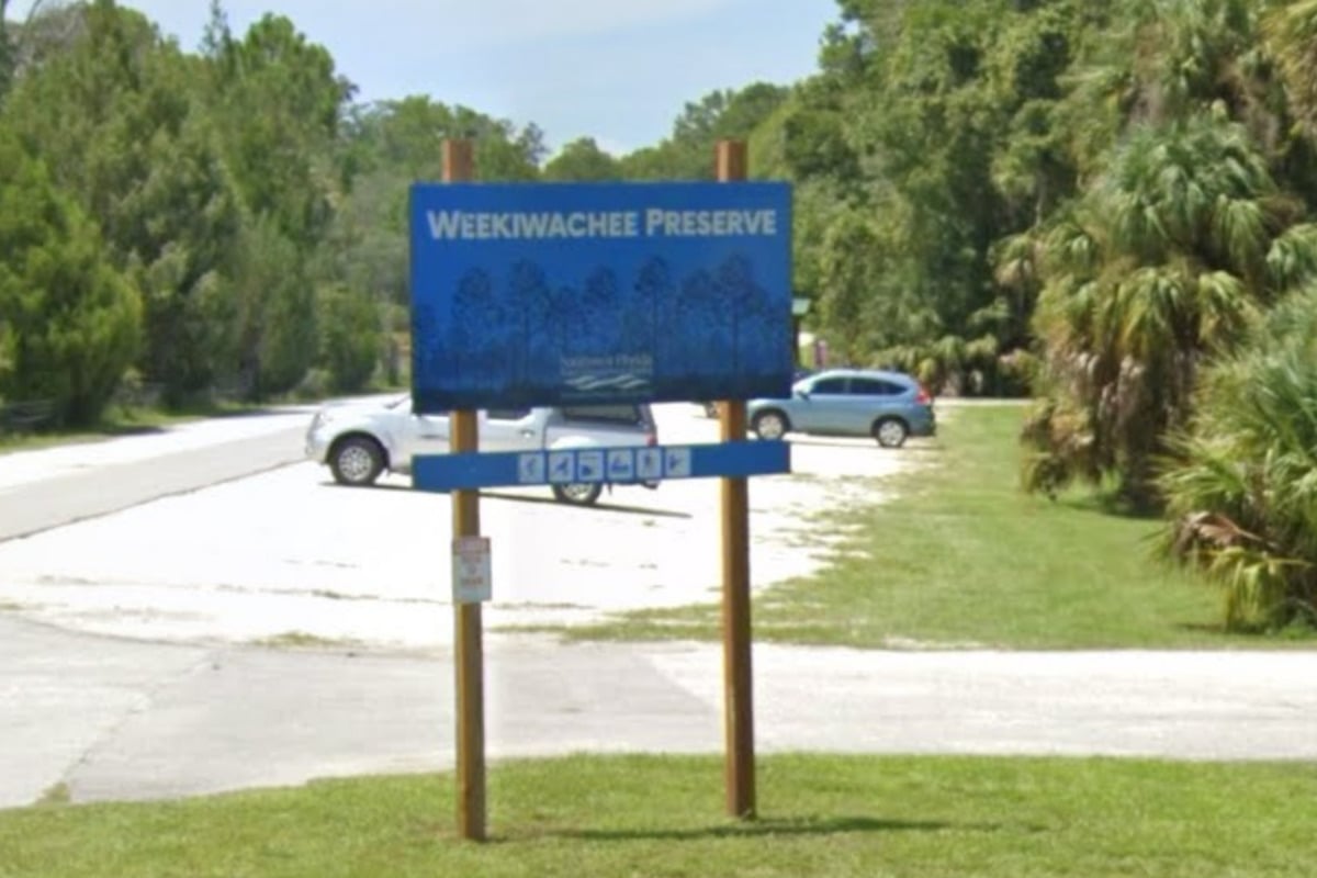 Weeki Wachee Fire Forces Mandatory Evacuations In Hernando Beach