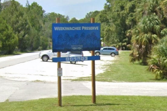 Racing Weeki Wachee Brush Fire Triggers Late-Night Hernando Beach Evacuations