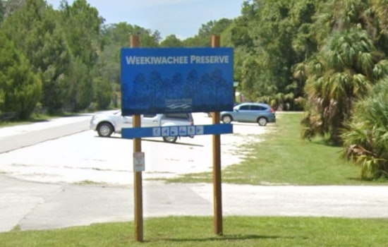 Racing Weeki Wachee Brush Fire Triggers Late-Night Hernando Beach Evacuations