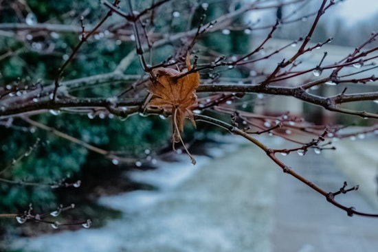 Rain, Sleet, Then Wet Snow Poised To Wreck Boston’s Ride Home