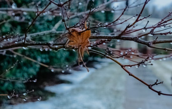 Rain, Sleet, Then Wet Snow Poised To Wreck Boston’s Ride Home