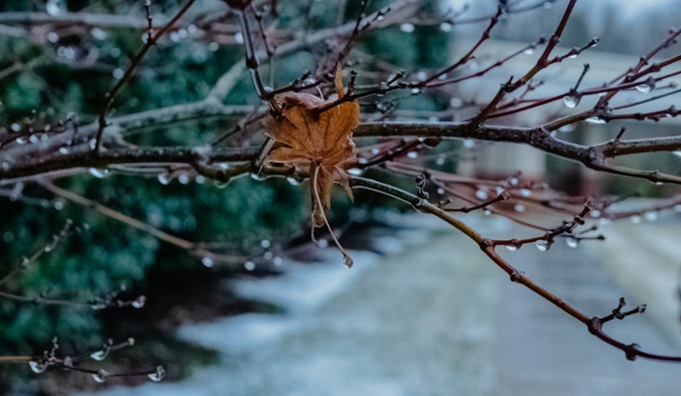 Rain, Sleet, Then Wet Snow Poised To Wreck Boston’s Ride Home