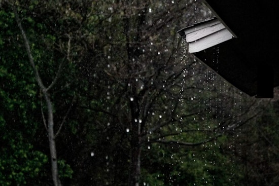 Rain-Soaked Seattle Rush Hour Gets Whipped By Gusty Winds