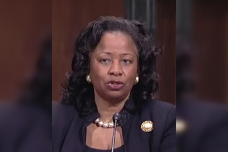 Raleigh Judge Signs Off on Voter ID Law as Advocates Cry Foul