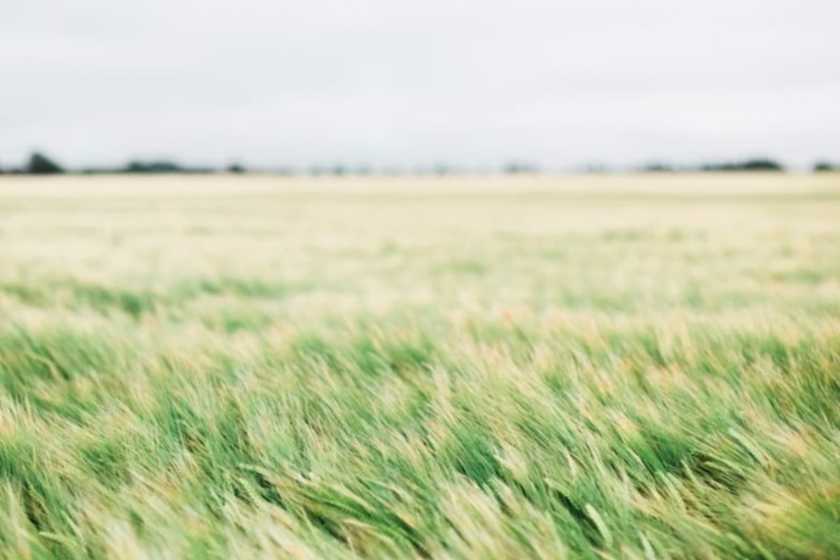 Red Flag Fire Fears As Fierce Winds Whip Atlanta Today