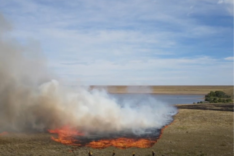 Red-Flag Spring Puts West Metro's Bear Creek Burn Plan On Hold