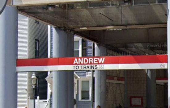 Red Line Rescue as Firefighters Pull Woman From Under Train at Andrew Station