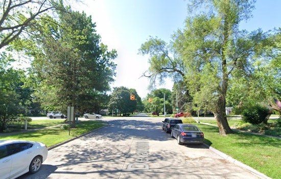 Redford Block Rocked as Giant Tree Obliterates Family Home