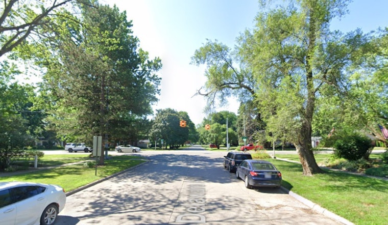 Redford Block Rocked as Giant Tree Obliterates Family Home
