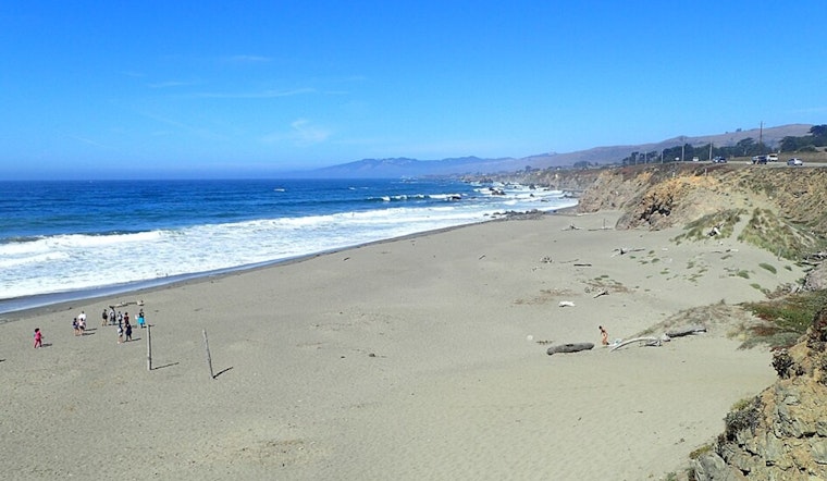 Remote Sonoma Beach Bone Tied To Santa Rosa Banker Who Vanished In 1999
