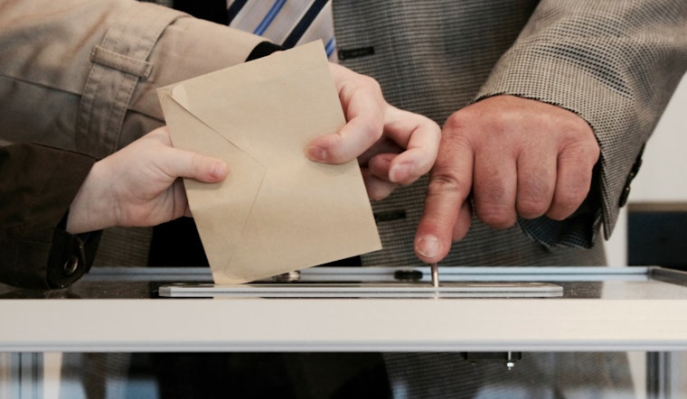 Right-Wing Vote Sleuths Push 'Elly' Tool On Georgia Election Watchdogs