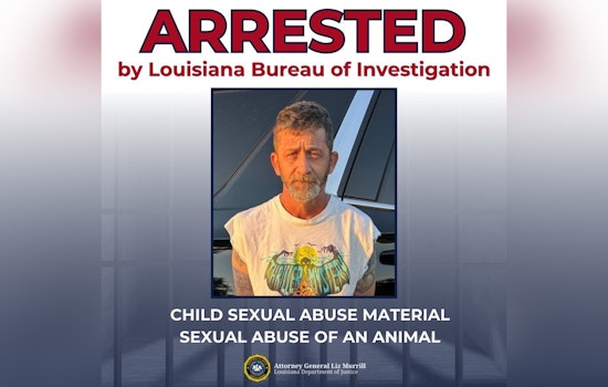 River Ridge Man Nabbed After Cyber Tip In Child Sex Abuse, Animal Sex Case