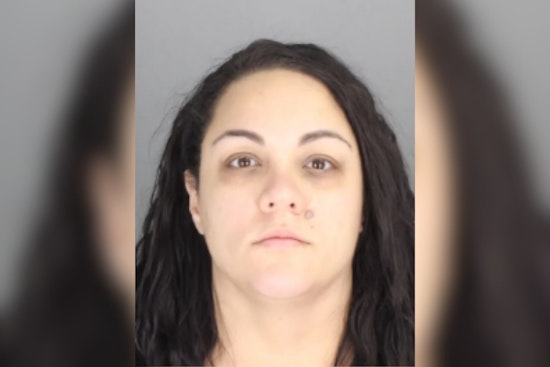 Rochester Hills ‘DTE’ Ruse Killing: Suspect’s Wife Heads For March 30 Court Showdown